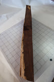 Desert Ironwood As Is-AS-1