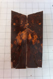 Desert Ironwood Scales Burl-IB-02