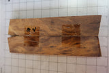 Desert Ironwood Scales Burl-IB-04