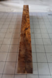 Desert Ironwood Scales Burl-IB-04