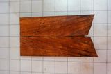 Desert Ironwood Scales-IWS-19