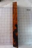 Desert Ironwood Block-IWS-16